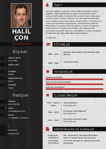 Fizik Öğretmeni CV Örnekleri cv indir